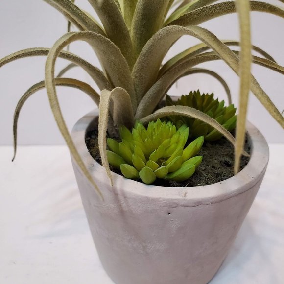 Faux Succulent Arrangement in Concrete Planter, Succulents and Air Plant - Picture 6 of 8